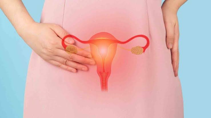 ماذا تشعر المرأة في فترة التبويض! وهل يدل على الحمل؟